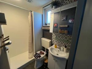 a small bathroom with a toilet and a sink at Veluwse Vlucht in Putten