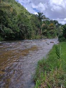 a river in a field next to a forest at Hospedagem do Rio in Nova Friburgo +2 photos
