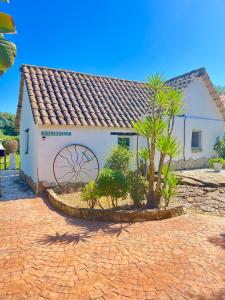 a small white building with a tree in front of it at Finca Esmeralda in Zahora