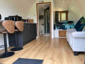 a living room with a couch and a bedroom at Glamping pod with en-suite & underfloor heating in Haverfordwest +41 photos