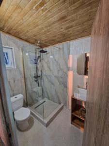 a bathroom with a shower and a toilet and a sink at Casutele Anei- Aframe&Spa in Rişca