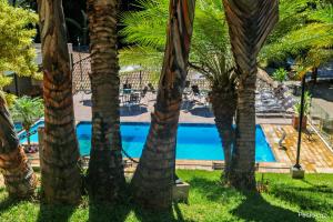a group of palm trees next to a swimming pool at Pousada Reserva Penedo in Penedo +61 photos