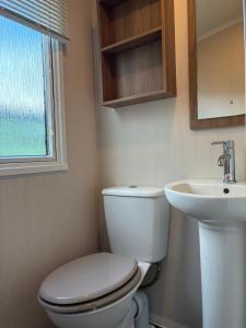 a bathroom with a toilet and a sink at Bordeaux sea view no 9 in Ardentinny +6 photos