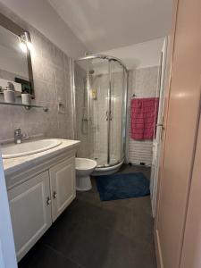 a bathroom with a shower and a sink and a toilet at Casa LynaeL Saint Roch in Nice