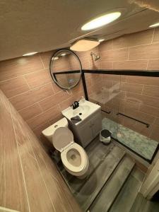 a bathroom with a toilet and a mirror and a sink at The Slate and Stone House in Buffalo