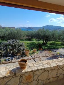 a window view of a garden with olive trees at AGNANTI in Palekastron