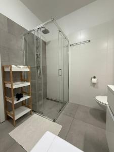a bathroom with a glass shower and a toilet at Pipanova Cosy Nest with Balcony & Free Parking in Ljubljana +24 photos