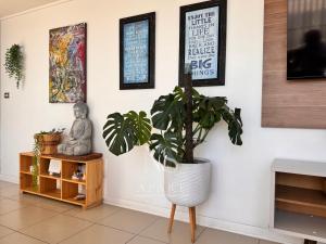 a plant sitting on a stand in a room at NORTHSUITE - Vista al Mar - 3 Dormitorios - Parking in Antofagasta
