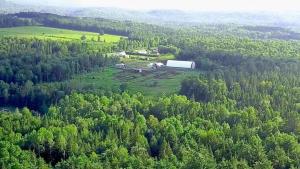 an aerial view of a farm in the middle of a forest at Cozy Cabin #2 in Maynooth