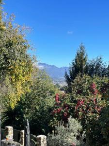 a view of trees and flowers on a hill at B&B Il Castellaccio - Albavilla in Albavilla +58 photos