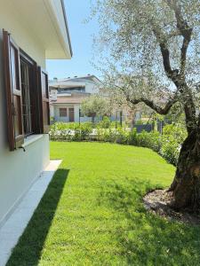 a house with a window and a tree in the yard at Bungalow Ville d'Oro in Desenzano del Garda