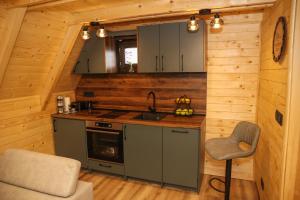 a kitchen with a stove and a sink in a cabin at Podostroška želja in Danilovgrad