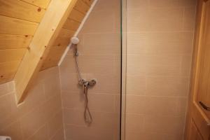 a shower with a glass door in a bathroom at Podostroška želja in Danilovgrad +21 photos