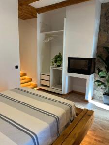 a bedroom with a bed with a tv and a fireplace at La Posada de Botavara in Mijares