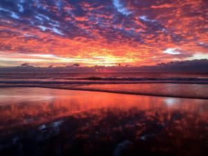 a sunset on the beach with a reflection in the water at Absolute Beachfront Ocean Balcony Heated Pool in Gold Coast
