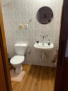 a bathroom with a toilet and a sink at Penzion U Kuboňů in Volary +26 photos