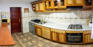 a kitchen with wooden cabinets and a sink and a stove at Cabana Cremenea in Merişor