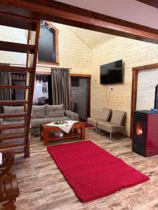a living room with a couch and a fireplace at Cabana Cremenea in Merişor