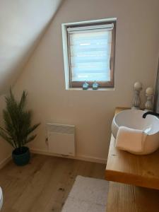 a bathroom with a sink and a window at Domek u Łowiszów in Dzianisz