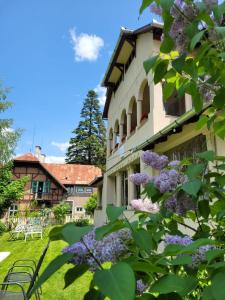 a building with purple flowers in the yard at Aronson Villa Tusnad in Băile Tuşnad