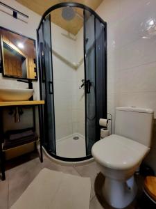 a bathroom with a shower and a toilet and a sink at Domek Jaśminowy, Domek z SAUNĄ in Brzozie +20 photos