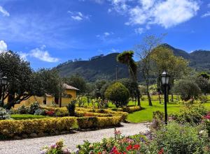 a garden with a palm tree and flowers and a lamp at La Franchesca Hotel Boutique in Tabio