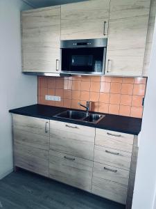 a kitchen with a sink and a microwave at 't Olde Land in Den Burg