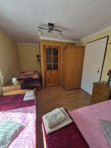 a bedroom with two beds and a sliding door at Agroturystyka Zacisze in Gorzanów