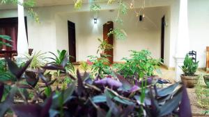 Zahrada ubytování Kassapa Home Stay