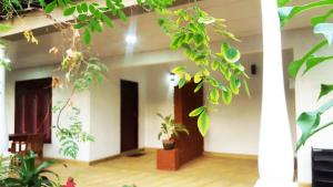 Zahrada ubytování Kassapa Home Stay