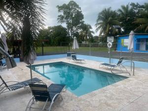 a swimming pool with lounge chairs and a pool at Cozy 2BR Cabin for 5 with Pool in Cabo Rojo