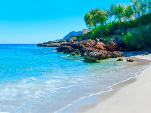 a beach with rocks and the ocean on a sunny day at Cas Ferrer Nou Hotelet in Alcudia