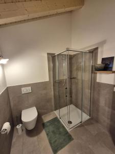 a bathroom with a shower and a toilet at Chesa Clavazzin in Brunnadern