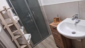 a bathroom with a shower and a sink and a ladder at Hibiscus Affittacamere - rooms&more in Stanghella