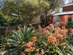 a garden in front of a house with flowers at Metro Casa Música Apartments and Rooms in Porto