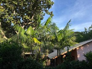 a group of palm trees next to a building at Espaço Amarelo in Pirenópolis