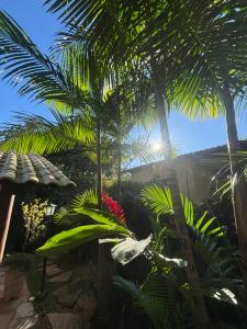 a view of a garden with palm trees at Espaço Amarelo in Pirenópolis