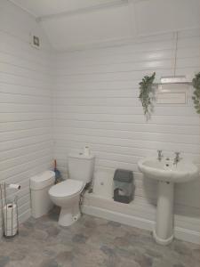 a white bathroom with a toilet and a sink at Royal Oak Rooms in Exeter +37 photos