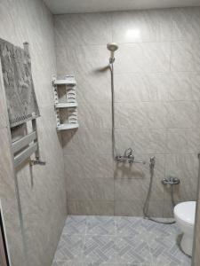 a bathroom with a shower and a toilet at Rest House in Quba