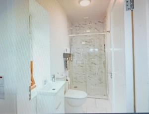 a bathroom with a shower and a toilet and a sink at Countryside bliss in Clonakilty +9 photos