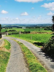 a gravel road in the middle of a field at Countryside bliss in Clonakilty