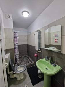 a bathroom with a green sink and a toilet at Casa DARYA-24h Check-in in Bucharest +90 photos