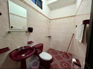 a bathroom with a red sink and a toilet at Casa Solar Boutique Eco-Hotel in Minatitlán