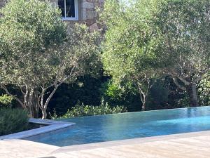 a swimming pool in a yard with trees at Concadoro in Porto-Vecchio