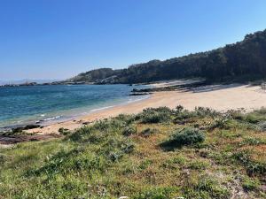 a sandy beach with trees in the background at Ponte da Illa in Isla de Arosa