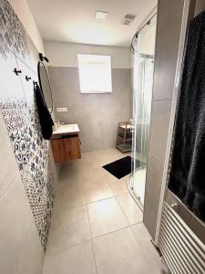 a bathroom with a shower and a sink at Apartmány Bozen Lednice in Lednice +4 photos