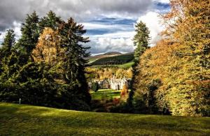 a green yard with trees and a house in the background at The Archway Suite in Peebles