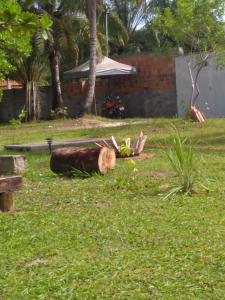 a tree log laying on the grass in a yard at Acampamento Dos Frangos in Itabuna