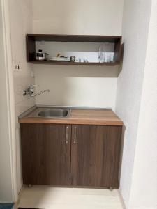 a small kitchen with a sink in a room at Villa Fantasy Premium Lakeview in Ohrid +109 photos
