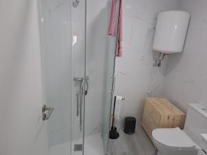 a bathroom with a shower and a toilet at Casa da Figueira in Aguiar da Beira +6 photos